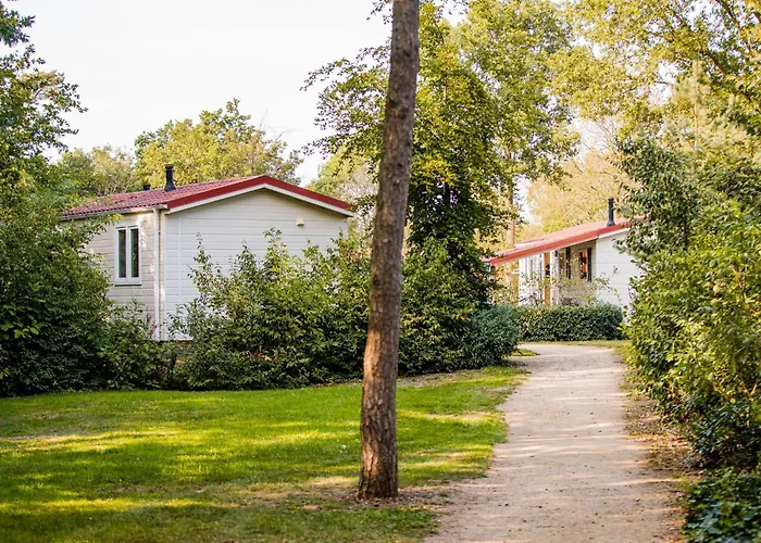 In Leukermeer By The Waterside Well (Limburg)